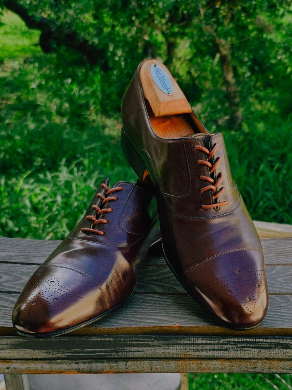 Tanino Crisci 10.5-D Italian Cordovan Brown Cap Toe Oxford Mens